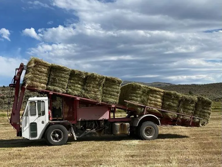 2001 Stinger Stacker, sold June 2025